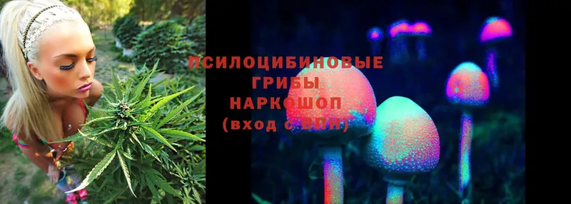 Галлюциногенные грибы Cubensis  наркота  Подольск 